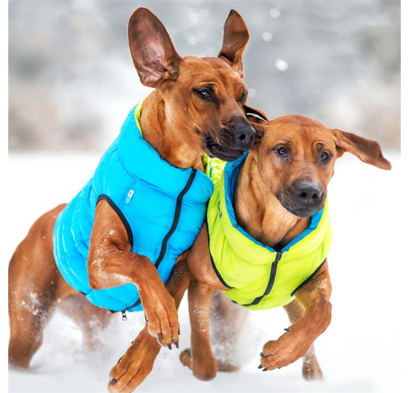 AiryVest jopič za pse L65 - ZELENA-ČRNA