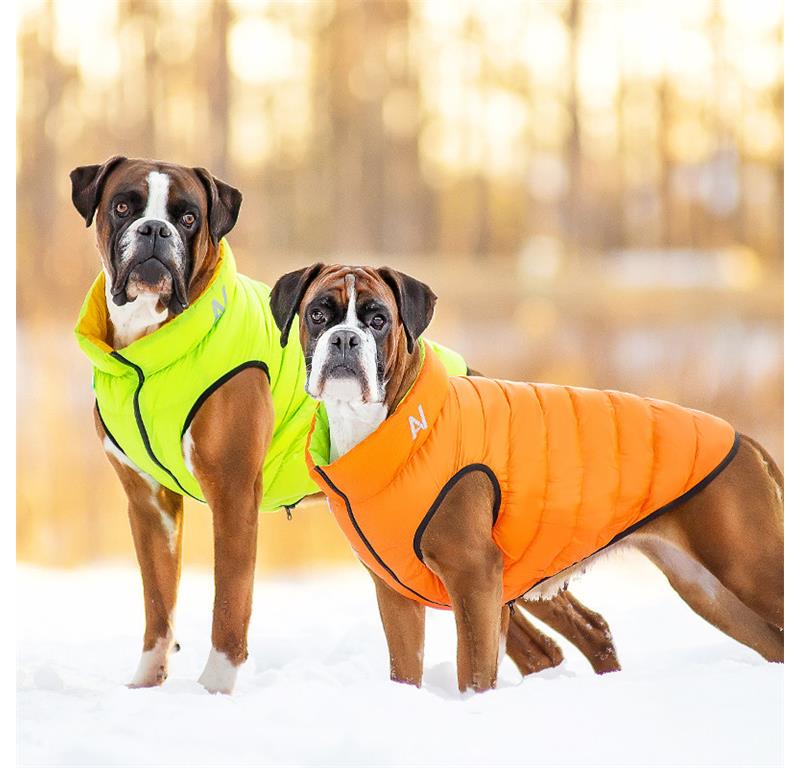 AiryVest jopič za pse L65 - ZELENA-ČRNA