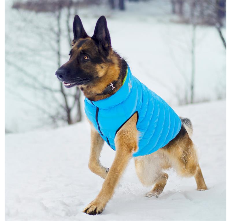 AiryVest jopič za pse L65 - ČRNA-RDEČA