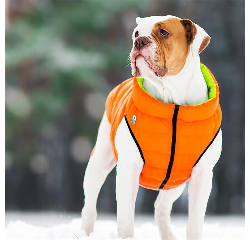 AiryVest jopič za pse L65 - ORANŽNA-ZELENA