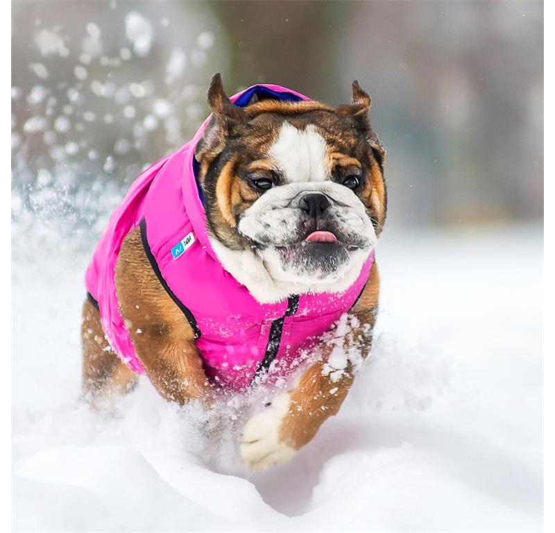 AiryVest jopič za pse M40 - MODRA-ZELENA