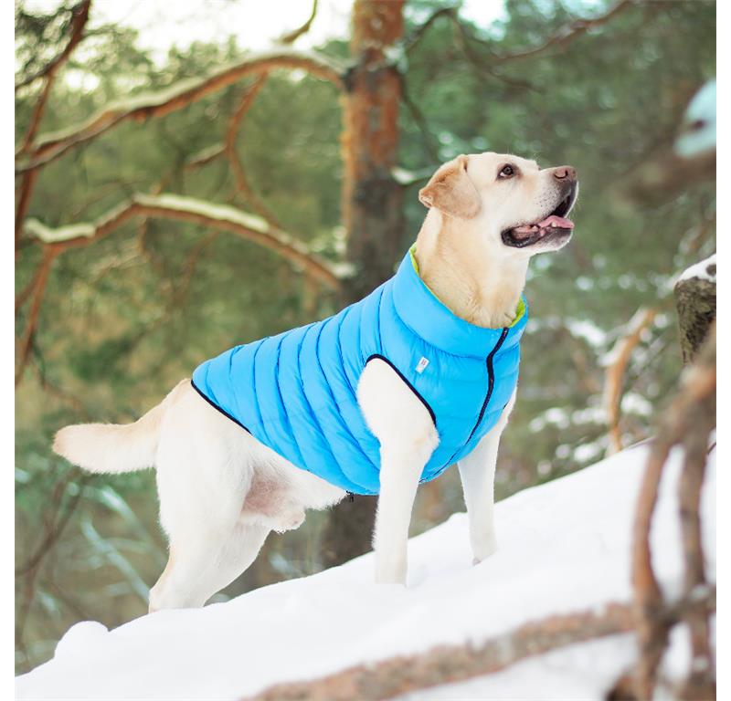 AiryVest jopič za pse M50 - ČRNA-RDEČA