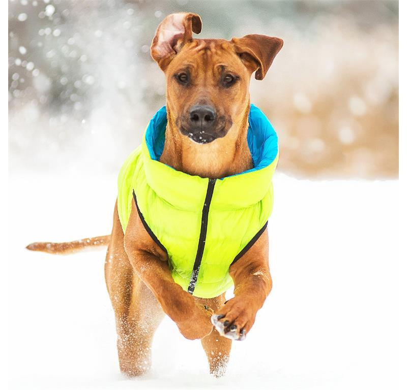 AiryVest jopič za pse M50 - MODRA-ZELENA