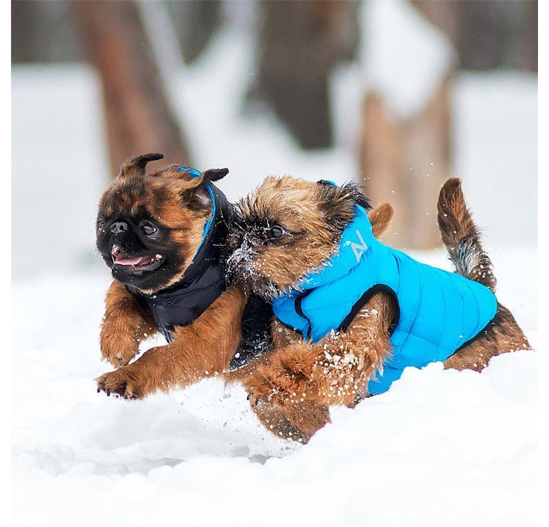 AiryVest jopič za pse S35 - MODRA-ZELENA