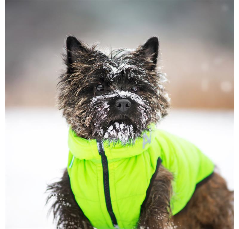 AiryVest jopič za pse XS25 - ORANŽNA-ZELENA