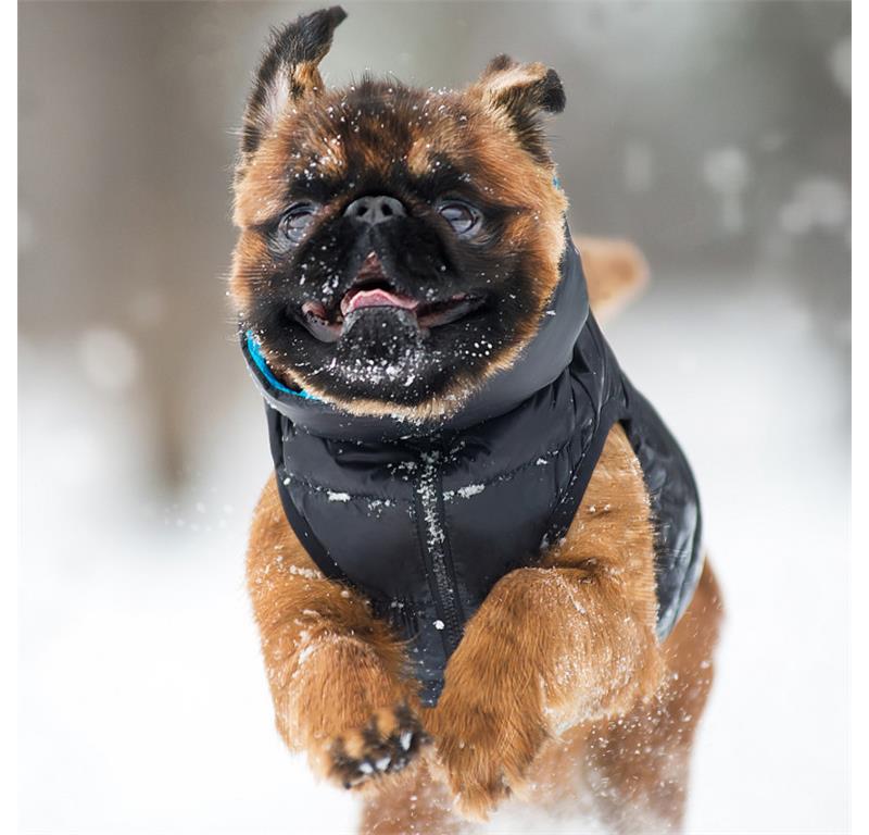 AiryVest jopič za pse XS25 - ORANŽNA-ZELENA