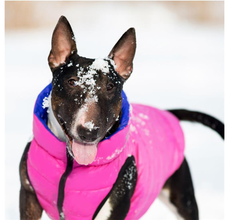 AiryVest jopič za pse XS25 - ROZA-VIJOLA