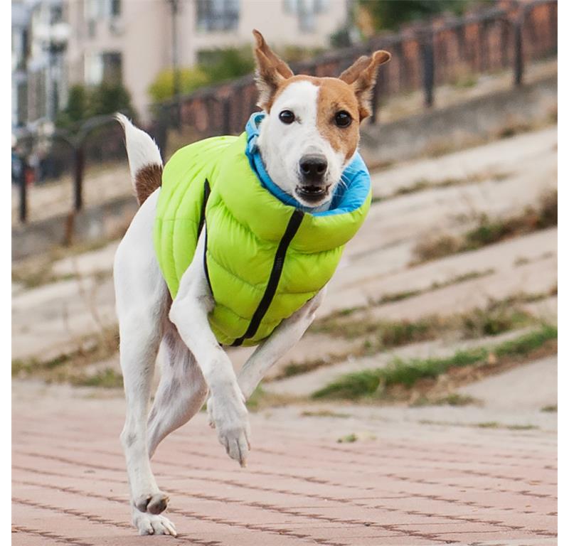 AiryVest jopič za pse S40 - ROZA-VIJOLA