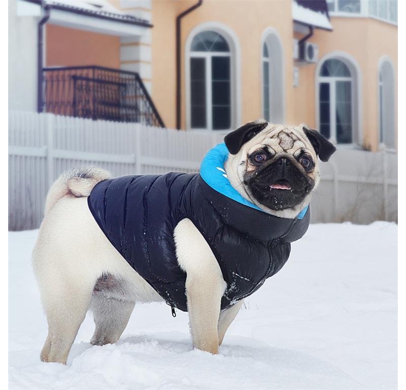 AiryVest jopič za pse XS30 - ČRNA-MODRA