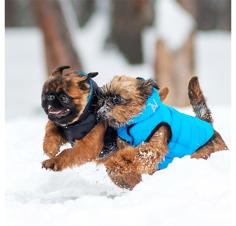 AiryVest jopič za pse S35 - ČRNA-MODRA