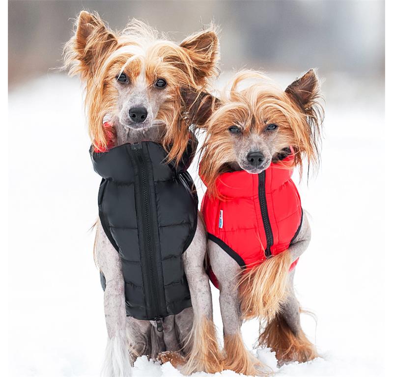 AiryVest jopič za pse S30 - ČRNA-RDEČA