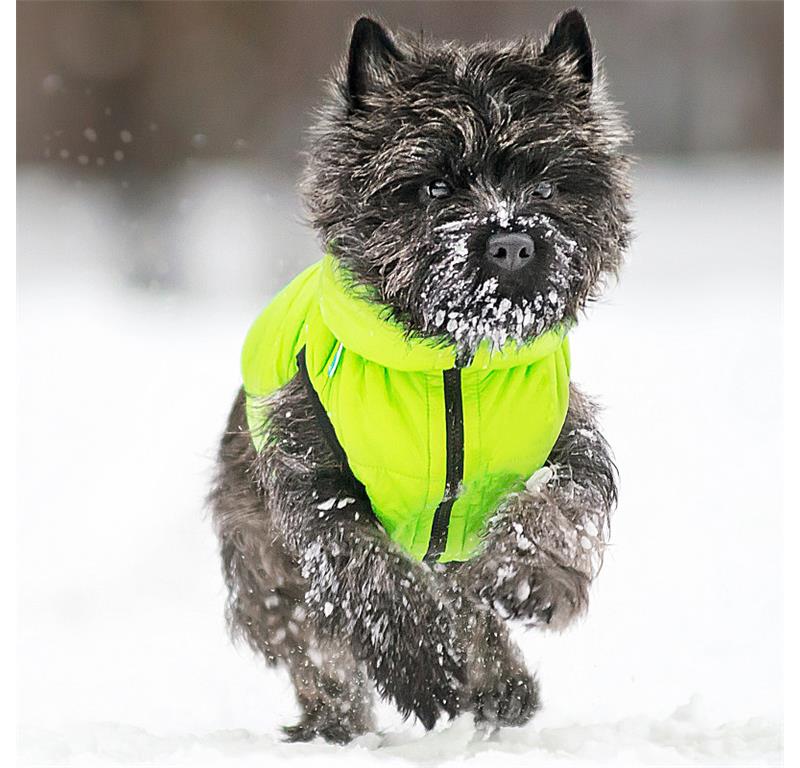 AiryVest jopič za pse S40 - KORALNA-SIVA