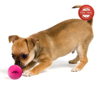 ŽOGA ZA PSA KOMET ROZA M