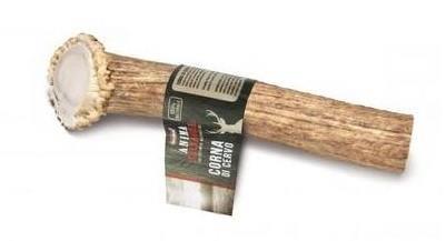 RECORD ROG DIVJEGA JELENA M