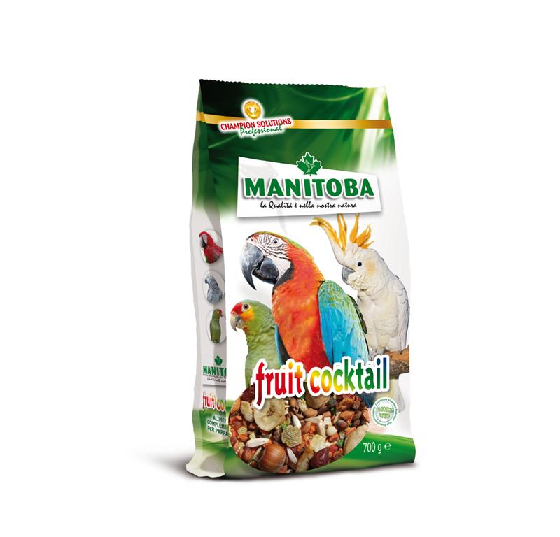 MANITOBA FRUIT COCKTAIL 700g