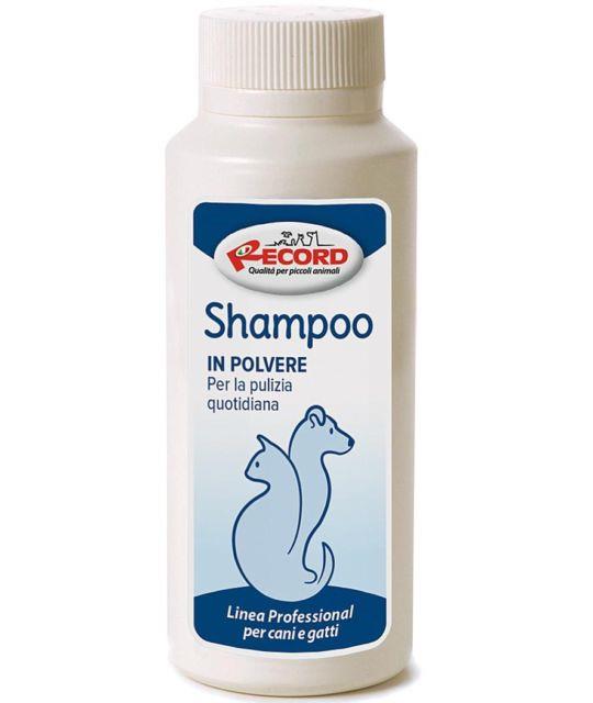 RECORD SUHI ŠAMPON 120GR