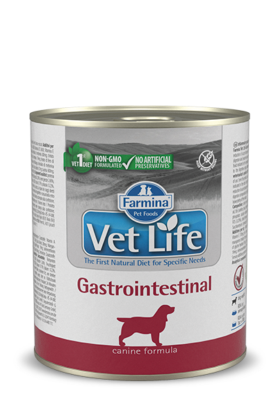 VET LIFE DOG GASTROINTESTINAL 300G