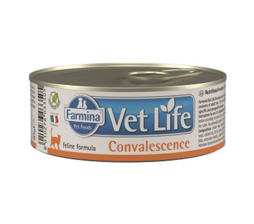 VET LIFE CAT CONVALESENCE 85G