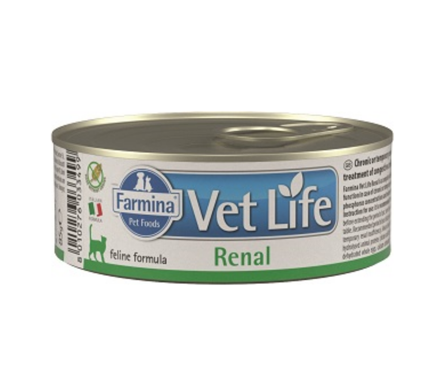 VET LIFE CAT RENAL 85G