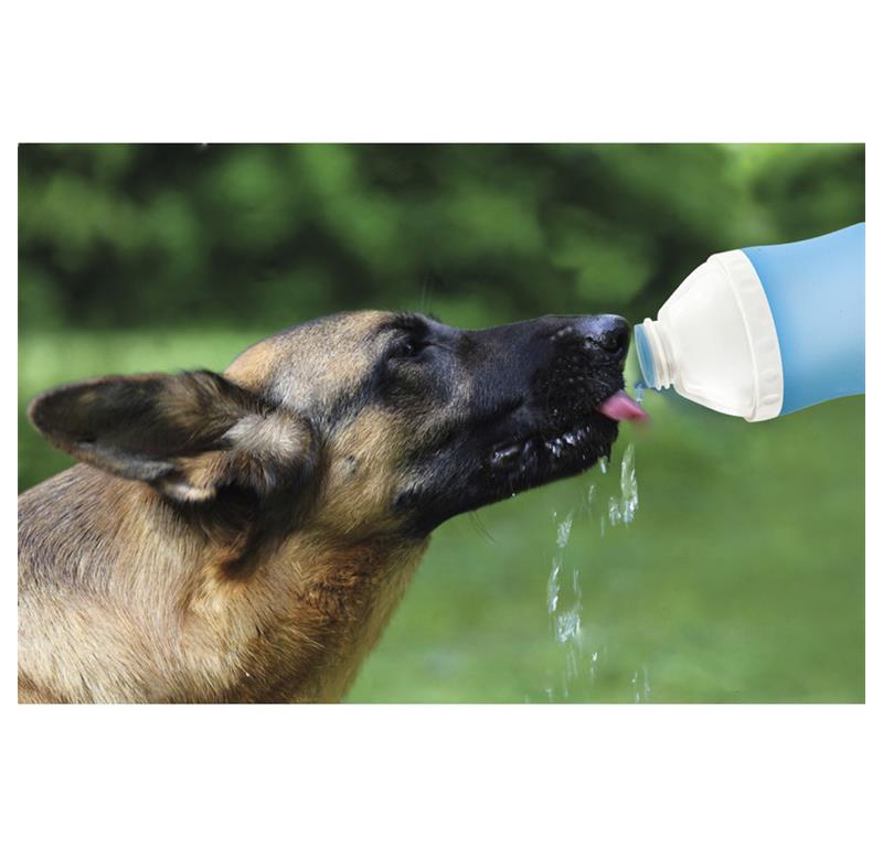 RECORD STEKLENICA ZA VODO 400ML