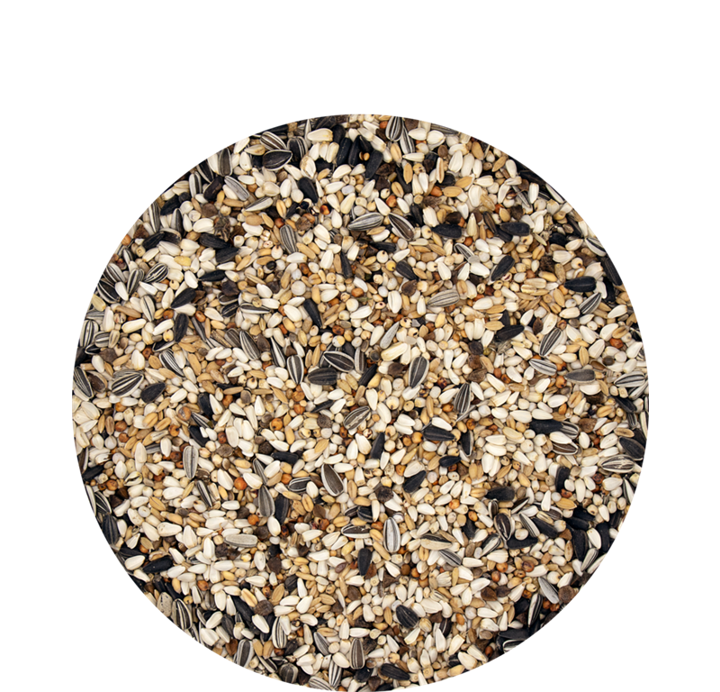 VL Traditional Premium SUPERCONDITION, 20kg