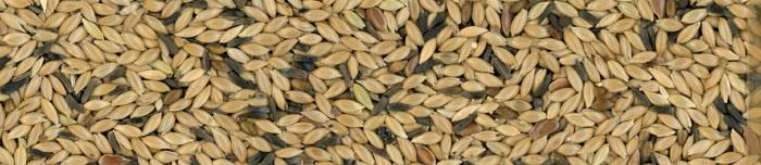 MANITOBA KANARČKI T3 20KG