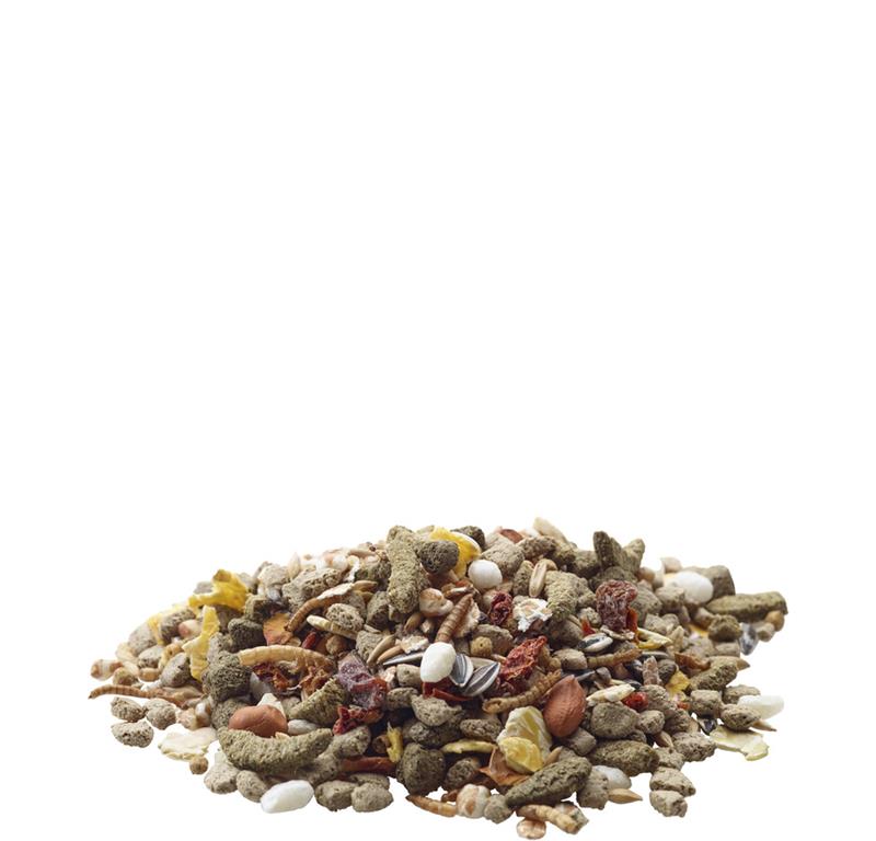 RAT NATURE- PODGANE 700G VERSELE LAGA