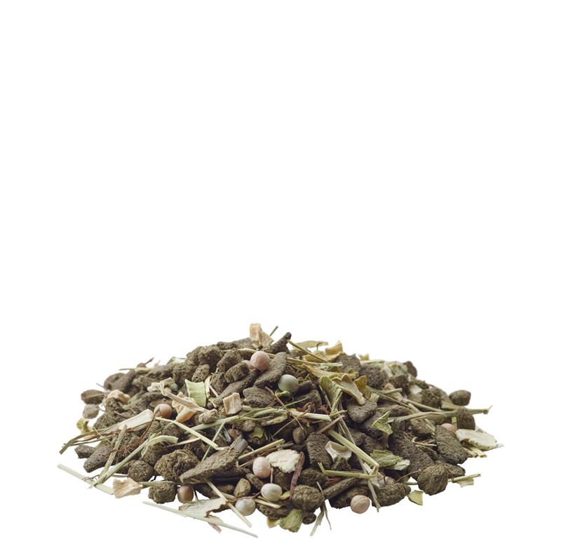 DEGU NATURE-DEGUJI 700G VERSELE LAGA
