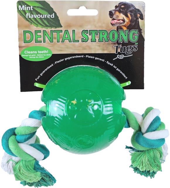 GB IGRAČA DENTAL STRONG MINT 10CM