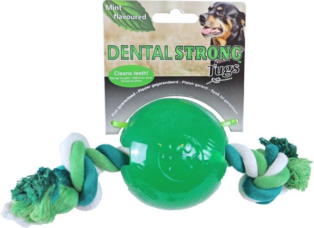 GB DENTAL STRONG MINT 8,5CM