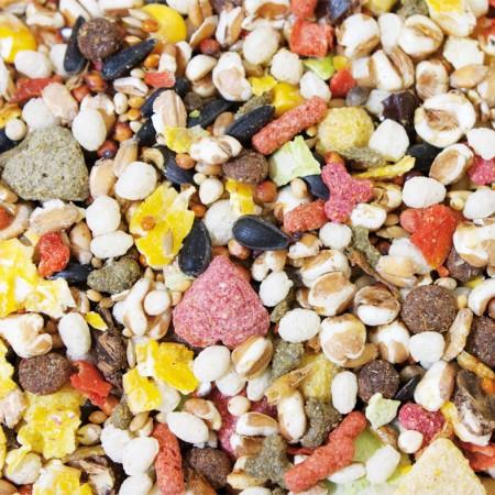 JR FARM HRANA ZA PODGANE 600G