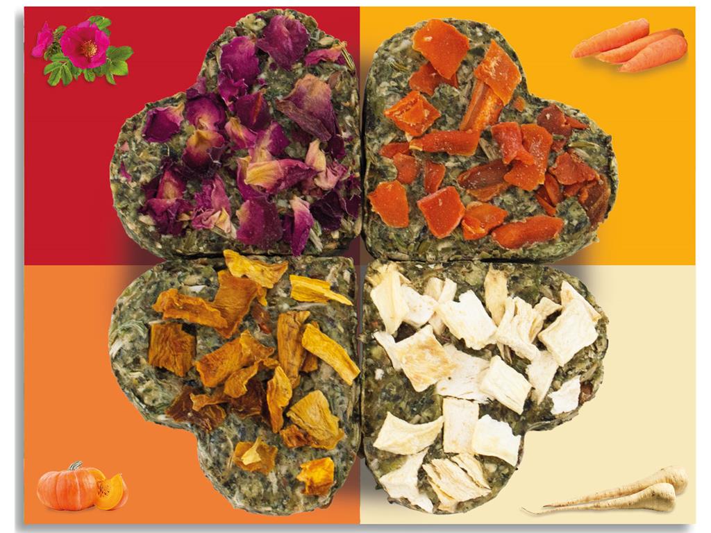 JR FARM ŠTIRI - PERESNA DETELJICA 60G