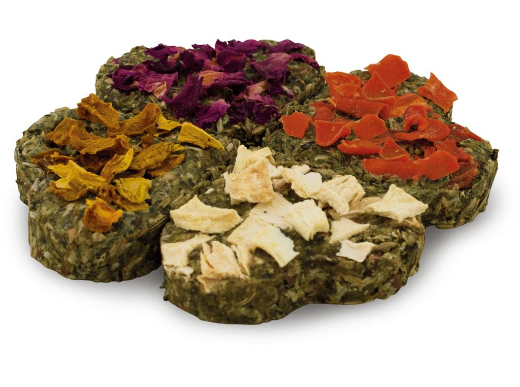 JR FARM ŠTIRI - PERESNA DETELJICA 60G