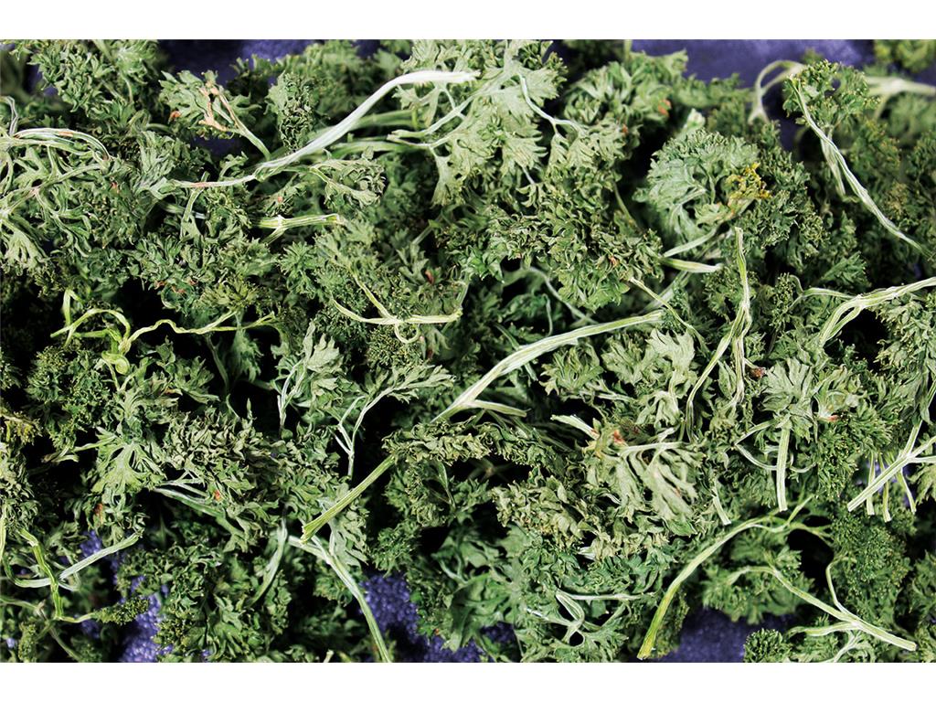 JR FARM PETERŠILJ 50G