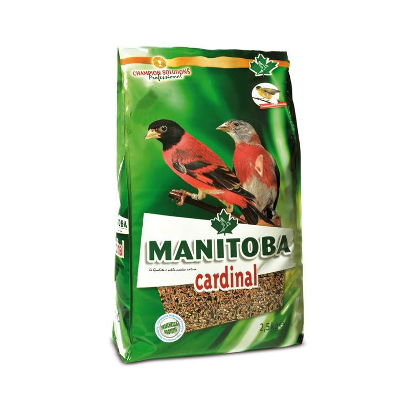 Manitoba CARDINAL - venezuelski čižki, 2,5KG
