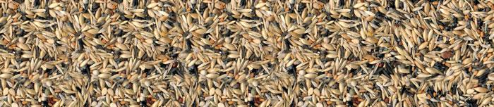 Manitoba CARDINAL - venezuelski čižki, 2,5KG