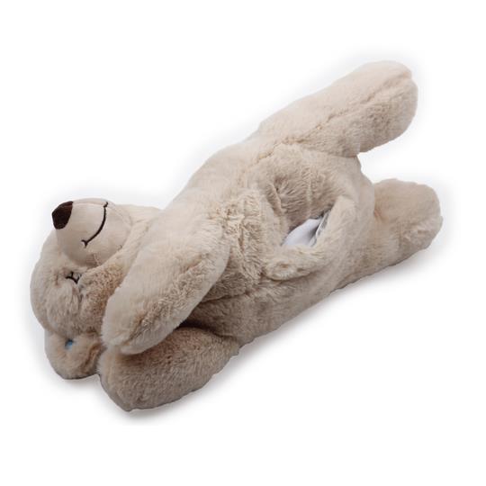 AFP WARM BEAR