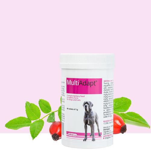 MULTIADAPT 60TBL