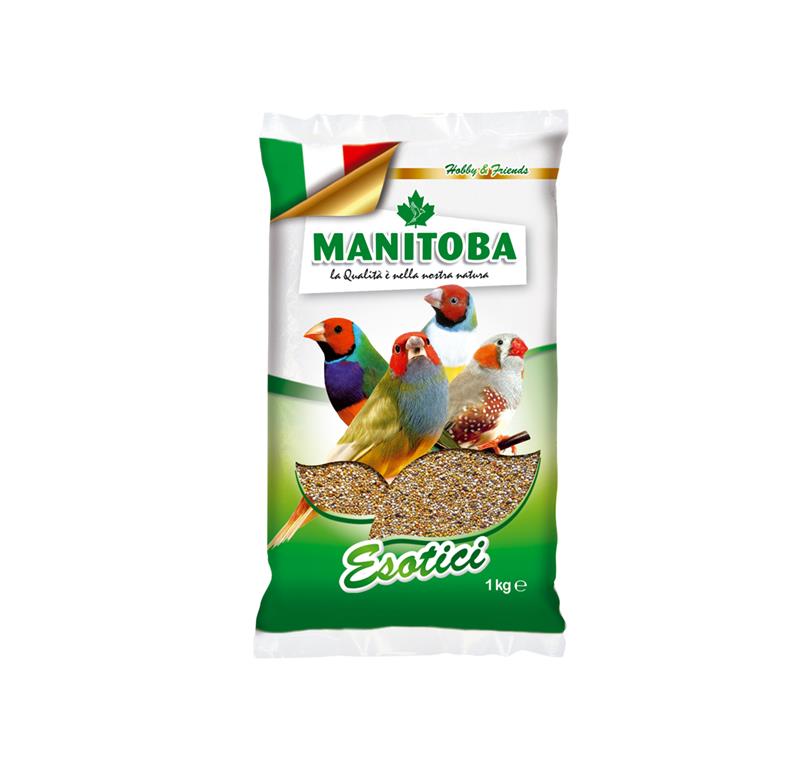 MANITOBA EKSOTI 1 KG
