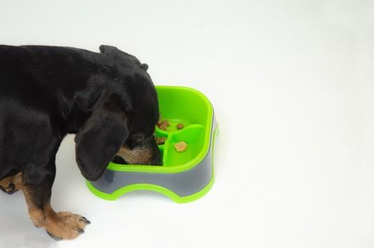 POSODA EAT SLOW MEDIUM ZELENA