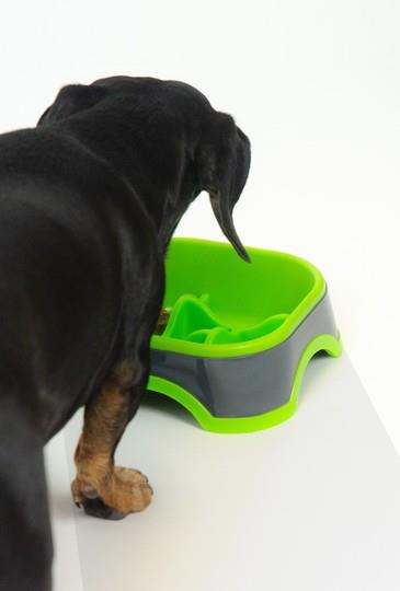 POSODA EAT SLOW MEDIUM ZELENA