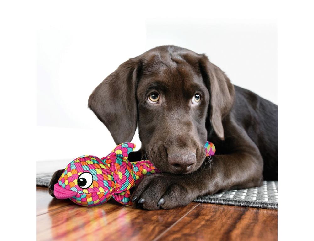 KONG FINZ BLUE LARGE