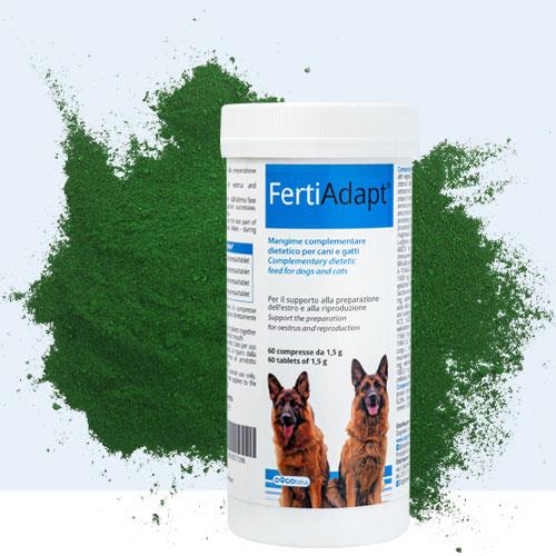 FERTIADAPT PREHRANSKO DOPOLNILO 90G