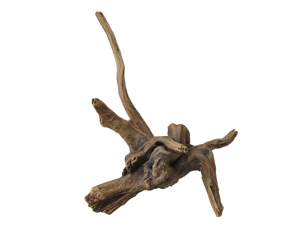AQUA DELLA DRIFTWOOD 2