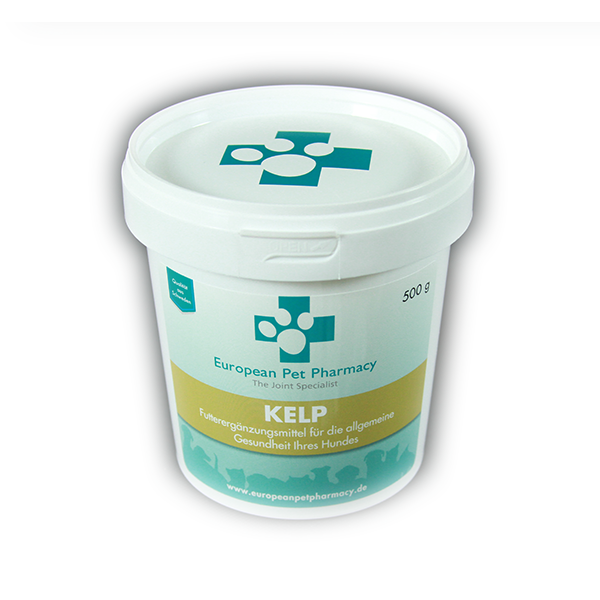 EPP KELP V PRAHU 500G