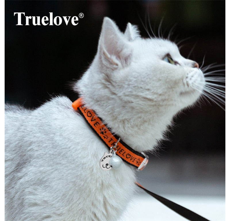 TRUELOVE OVR.+POVODEC ZA MUCE ORANGE