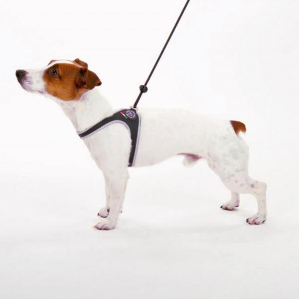 TRE PONTI oprsnica na trakec - BELA št. 2,5