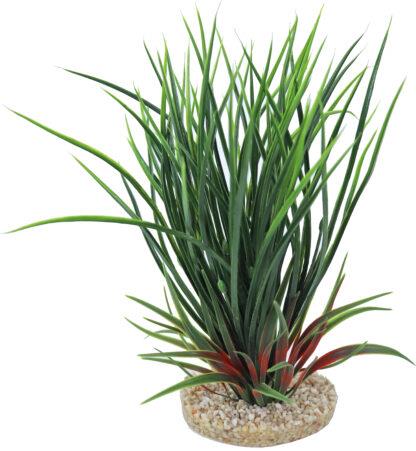 GB AKV. RASTLINA FAN GRASS 30CM