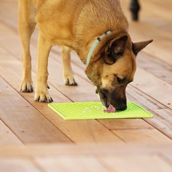 GB LICKI MAT BUDDY 20CM