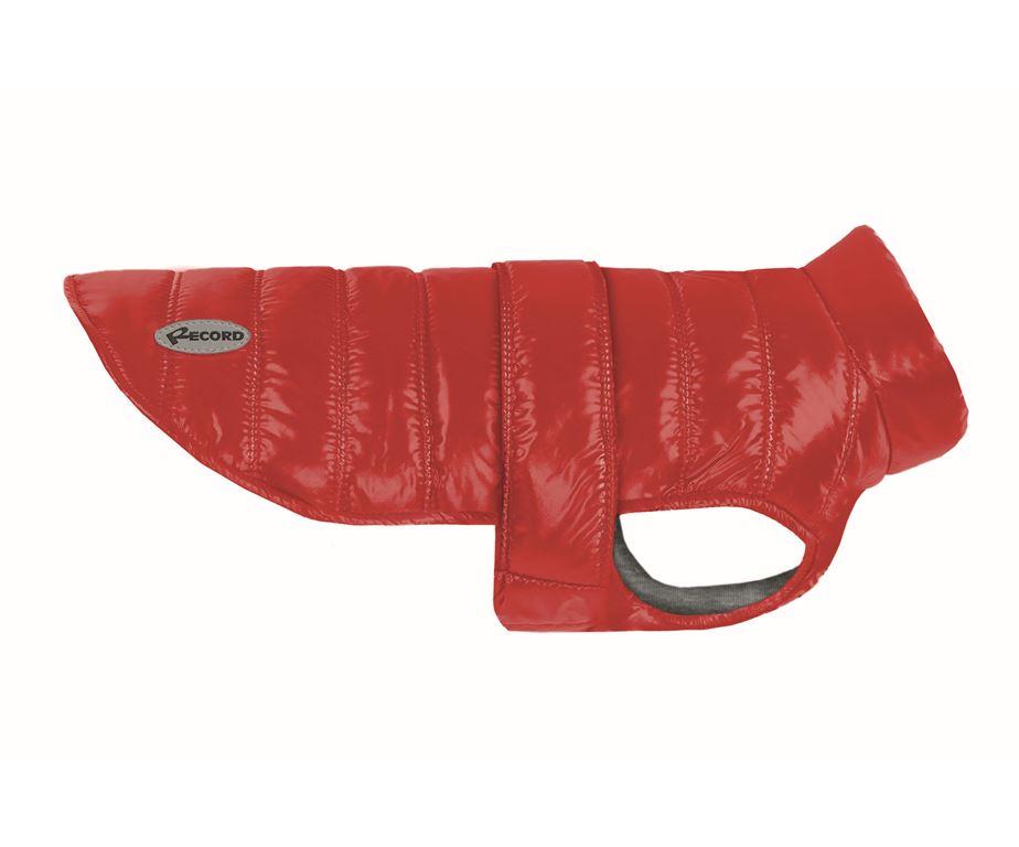 RECORD PLAŠČ WIND RDEČ XS30